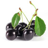 Life Impulse® Acai